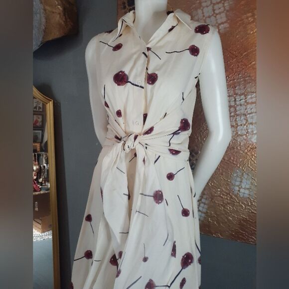 Nwot Zara 100% Cotton Lolipop Print Maxi Dress - Picture 14 of 15